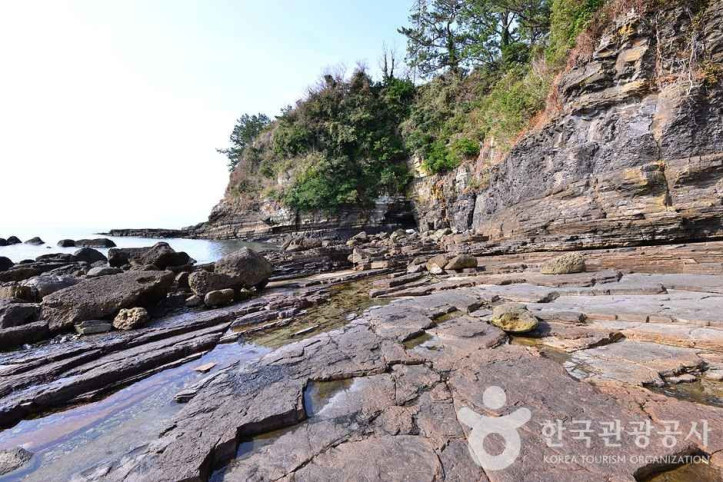 여수 낭도리 공룡발자국화석 산지 여행 추천 - 메고지고