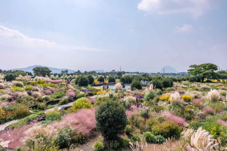 카멜리아힐 여행 추천 - 메고지고