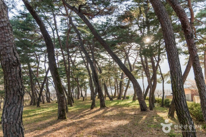 포항 덕동문화마을 여행 추천 - 메고지고