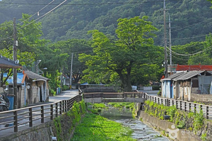 담양 도래수마을 여행 추천 - 메고지고