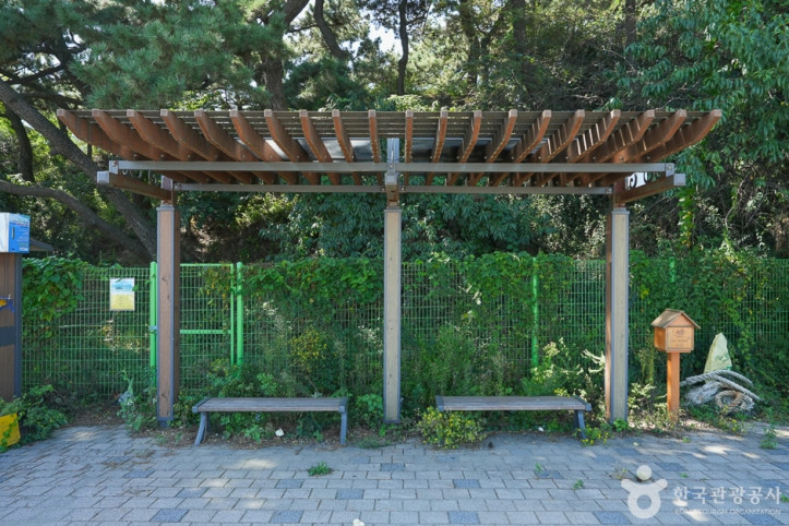 아암도해안공원 여행 추천 - 메고지고