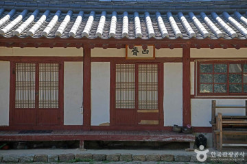 서산향교 은행나무 여행 추천 - 메고지고