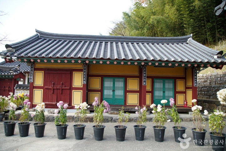 용산서원(동해) 여행 추천 - 메고지고