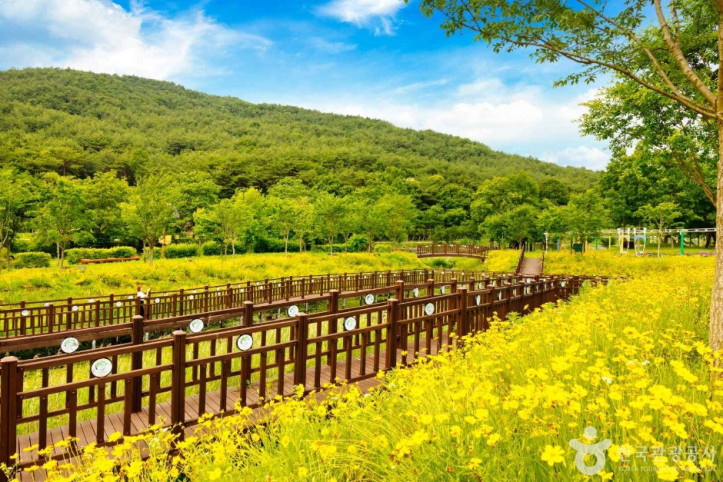 고창 운곡람사르습지 여행 추천 - 메고지고