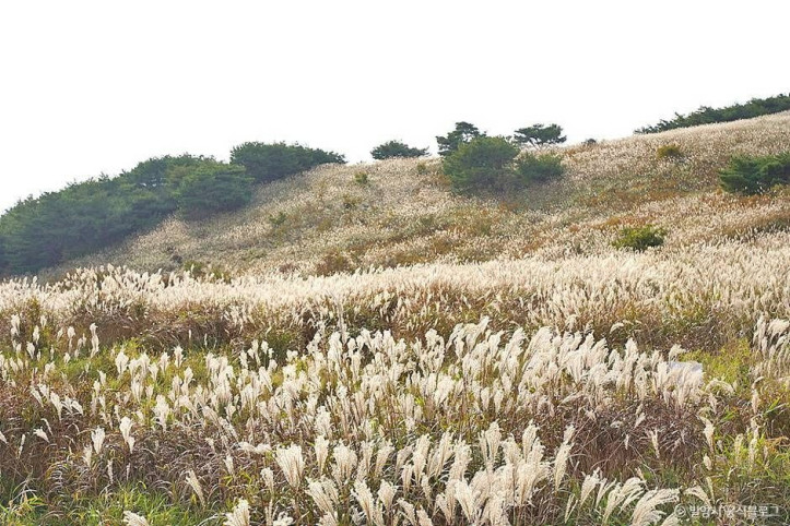 재약산 여행 추천 - 메고지고