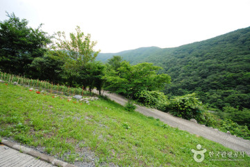 간월산 자연휴양림 여행 추천 - 메고지고