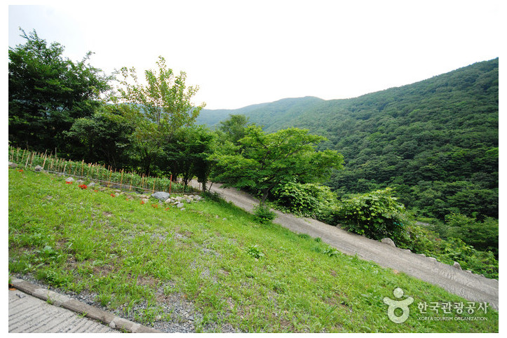 간월산 여행 추천 - 메고지고