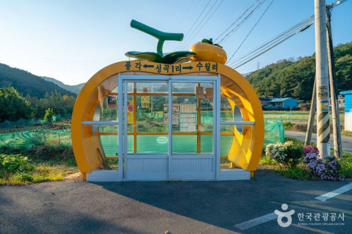청도 성수월마을 여행 추천 - 메고지고