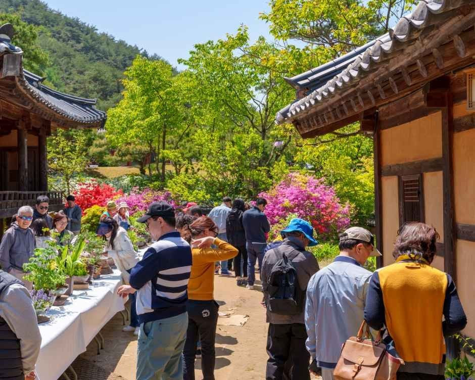 영주 한국선비문화축제 여행 정보 - 메고지고