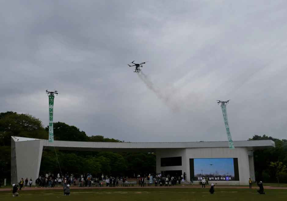 담양 대나무축제 여행 정보 - 메고지고