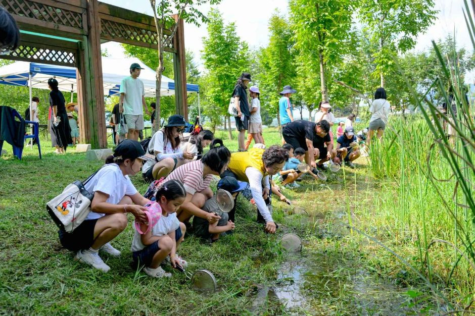 예산황새축제 여행 정보 - 메고지고