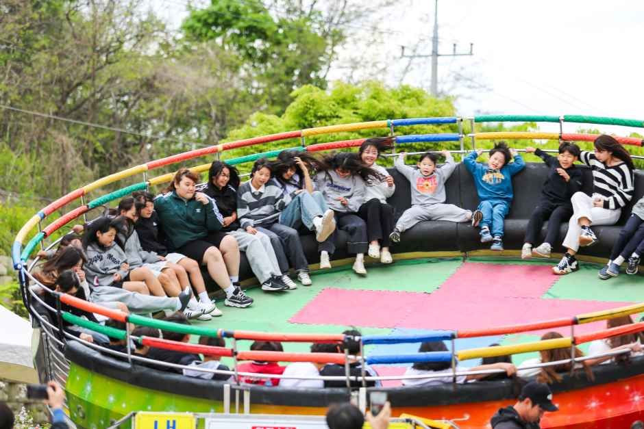 청춘양구 곰취축제 여행 정보 - 메고지고