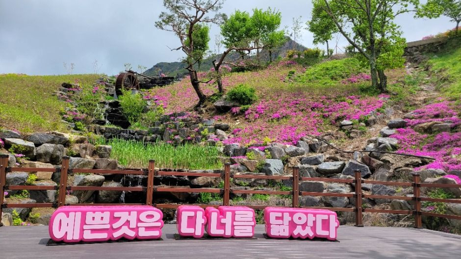 산청황매산철쭉제 여행 정보 - 메고지고