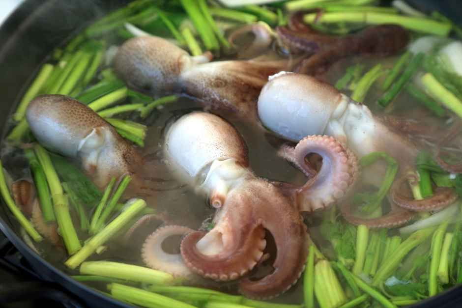 서천 동백꽃 주꾸미 축제 여행 정보 - 메고지고