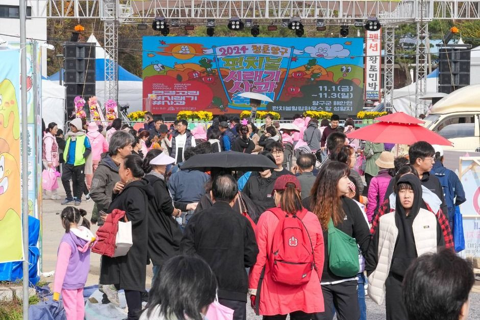 청춘양구 펀치볼 시래기사과축제 여행 정보 - 메고지고