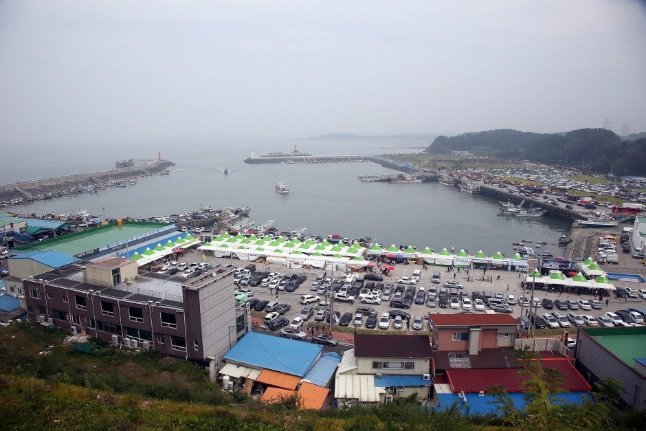 서천 홍원항 자연산 전어 꽃게 축제 여행 정보 - 메고지고