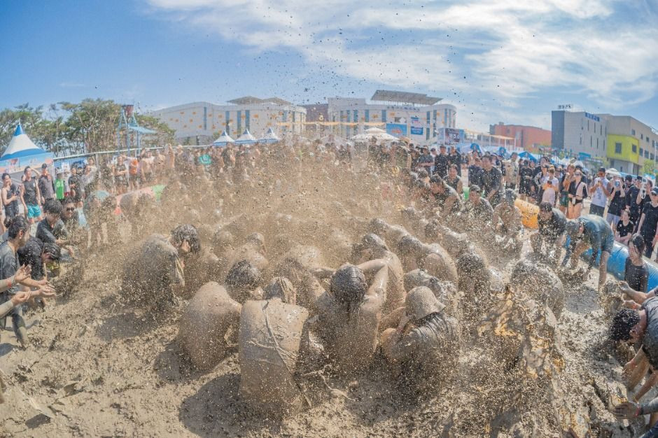 보령머드축제 여행 정보 - 메고지고