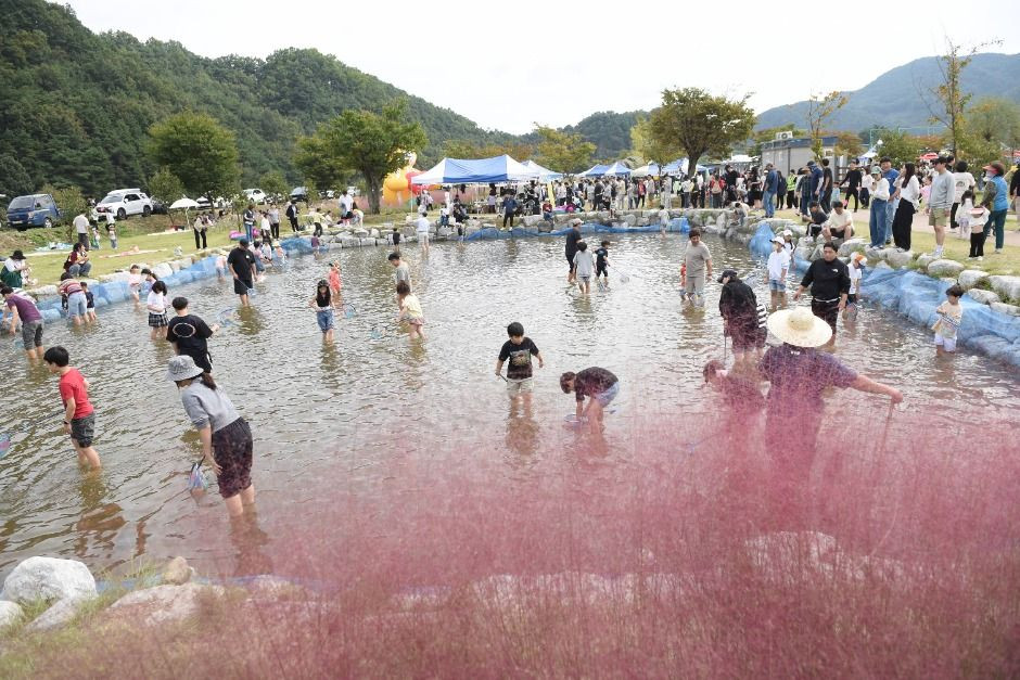 성주가야산황금들녘메뚜기축제 여행 정보 - 메고지고