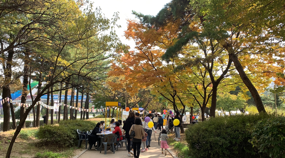 노원 북 페스티벌 여행 정보 - 메고지고