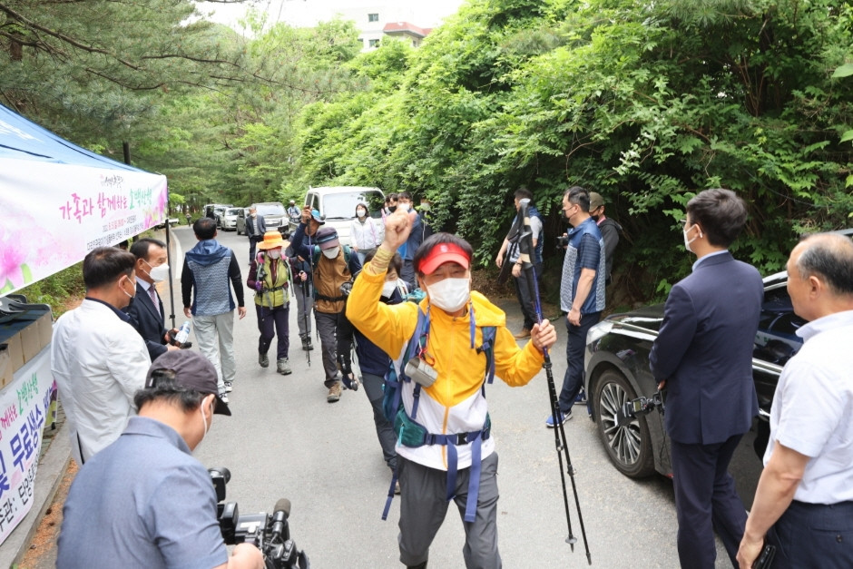 단양 소백산 철쭉제 여행 정보 - 메고지고