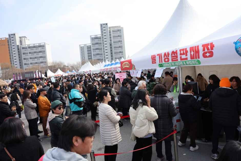 완주삼례딸기대축제 여행 정보 - 메고지고