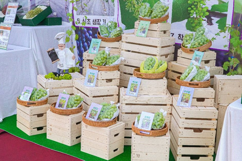 화성시 도농 어울림축제 여행 정보 - 메고지고