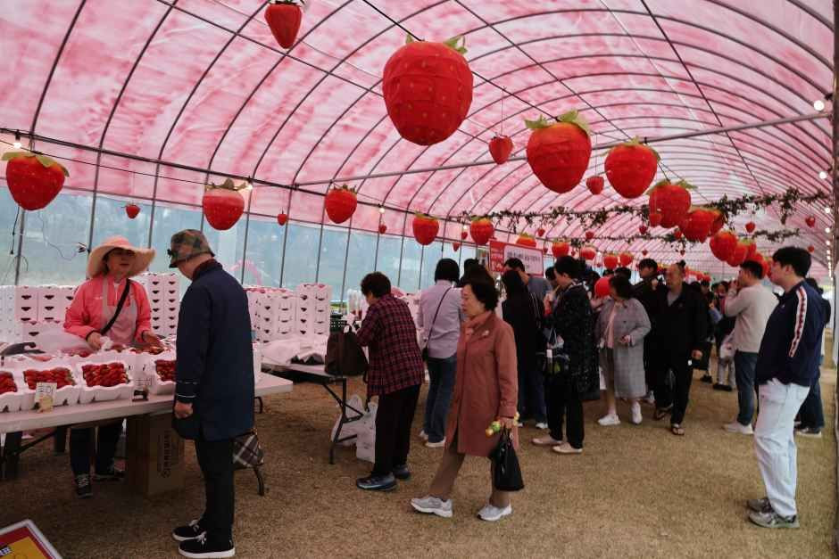 논산딸기축제 여행 정보 - 메고지고