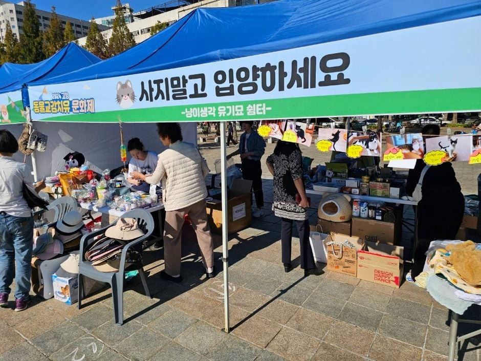고양 동물교감치유 문화제 여행 정보 - 메고지고