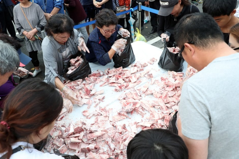 홍천 인삼한우 명품축제 여행 정보 - 메고지고