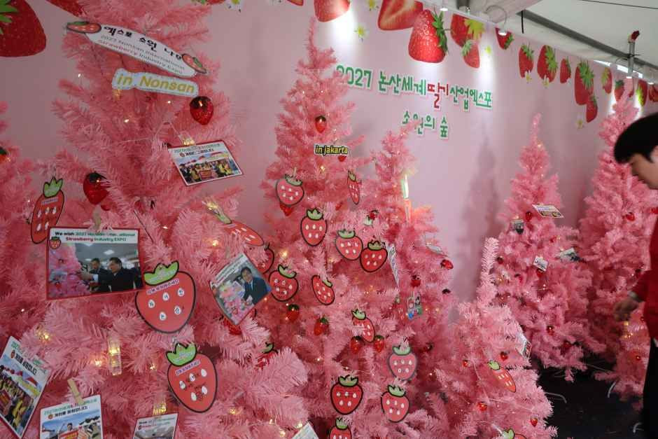 논산딸기축제 여행 정보 - 메고지고