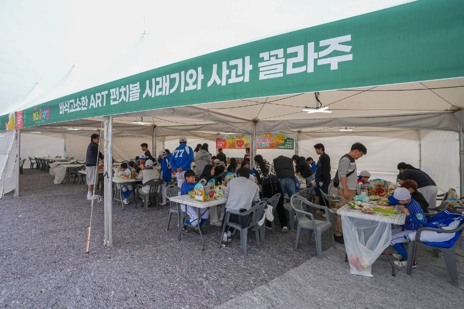 청춘양구 펀치볼 시래기사과축제 여행 정보 - 메고지고