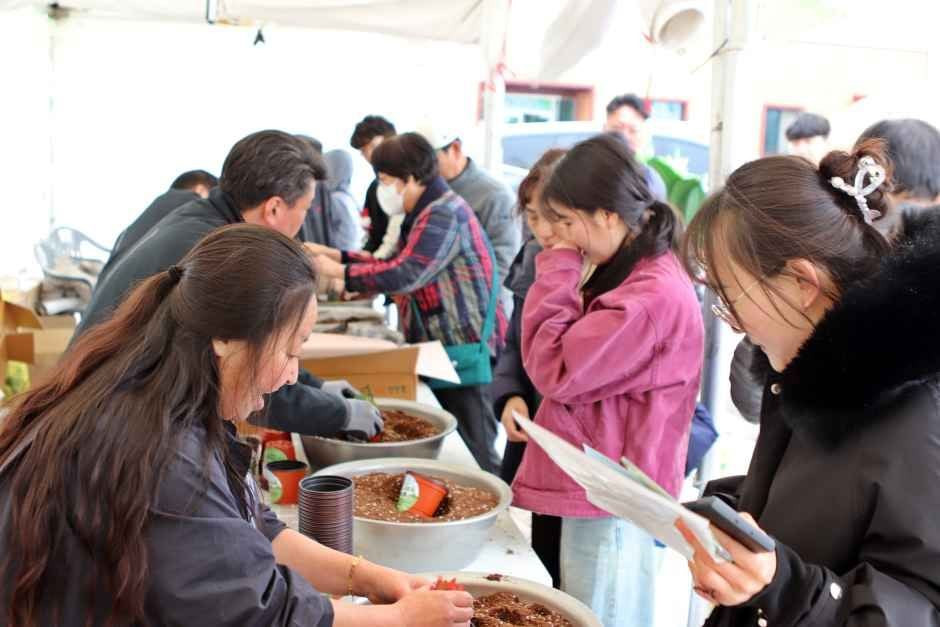 옥천묘목축제 여행 정보 - 메고지고