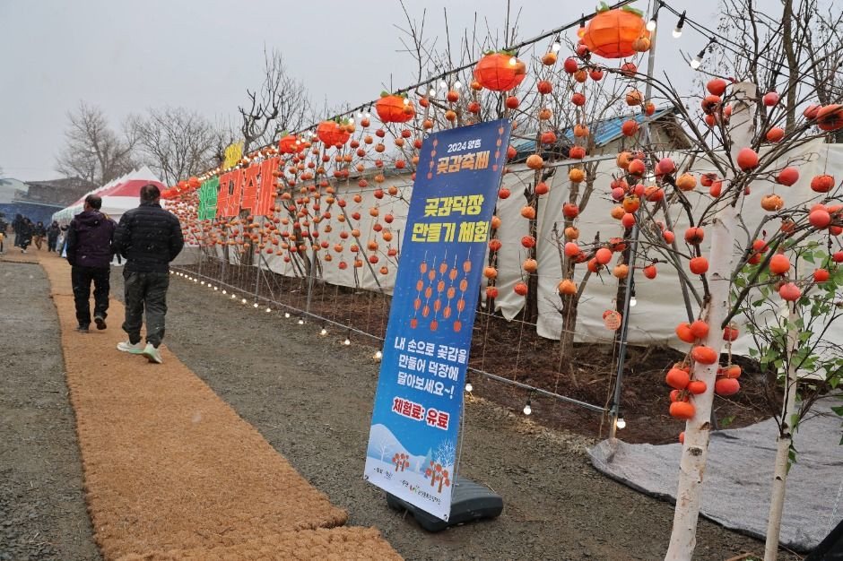 논산양촌곶감축제 여행 정보 - 메고지고
