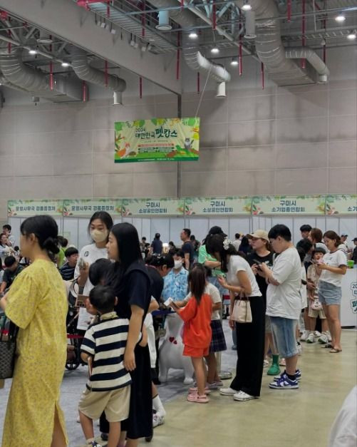 대한민국 펫캉스 여행 정보 - 메고지고