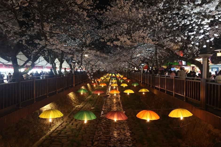 진해군항제 여행 정보 - 메고지고