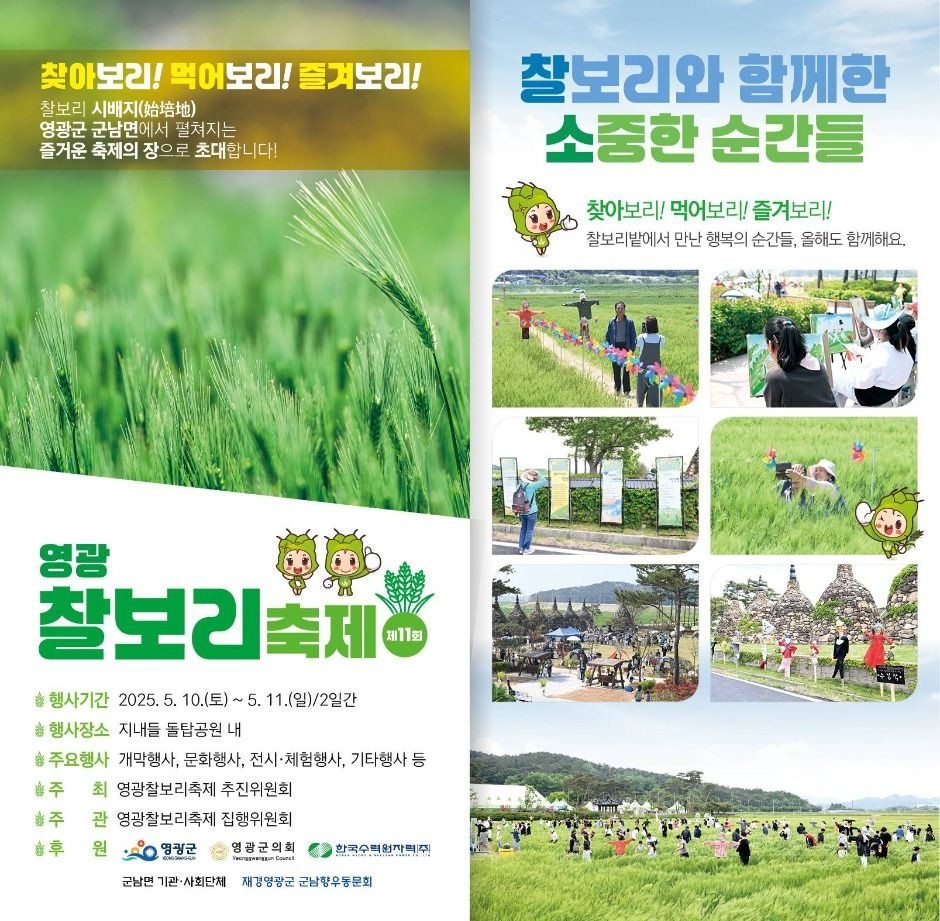 영광찰보리 축제 여행 정보 - 메고지고