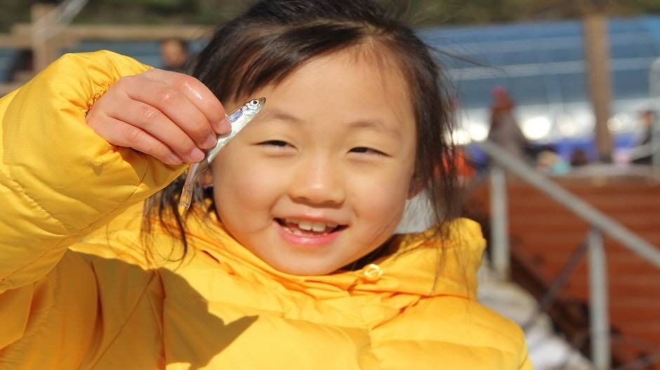 양평빙송어축제 여행 정보 - 메고지고