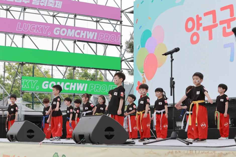청춘양구 곰취축제 여행 정보 - 메고지고