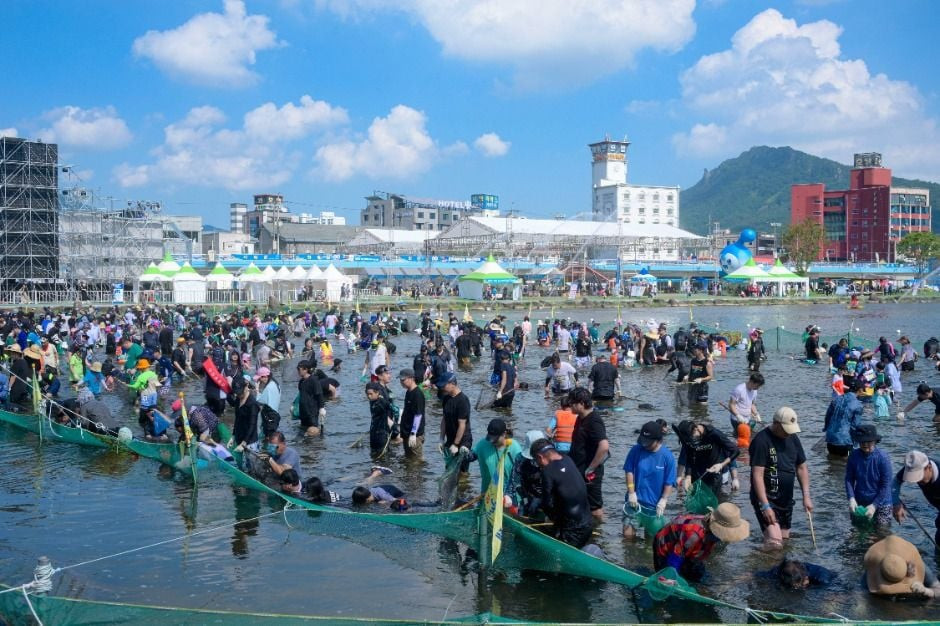 정남진 장흥 물축제 여행 정보 - 메고지고