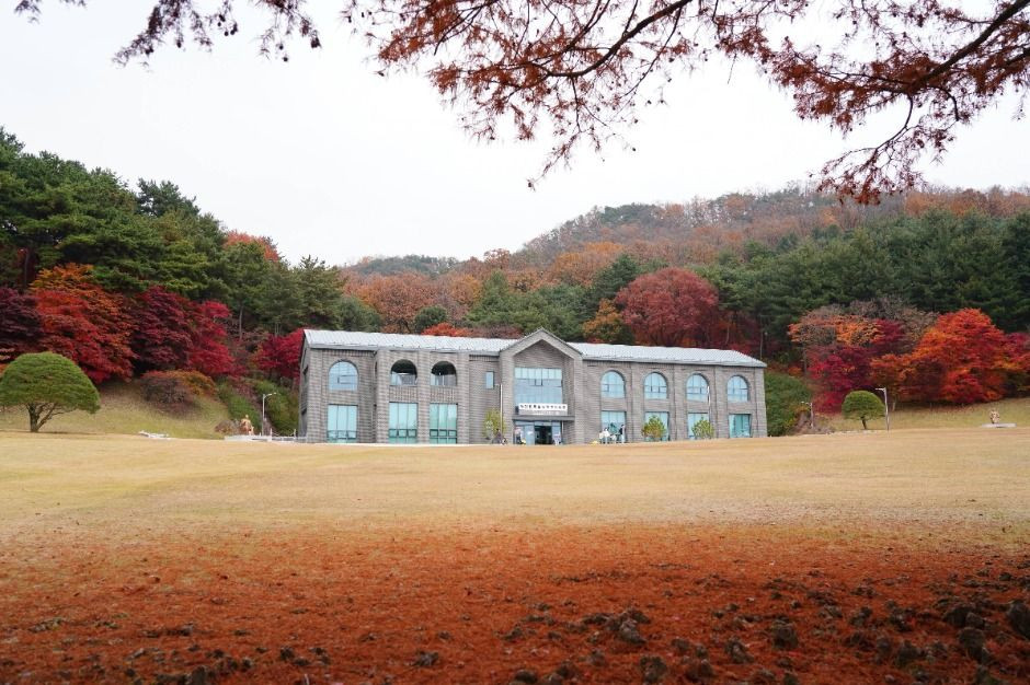 청남대 가을축제 여행 정보 - 메고지고