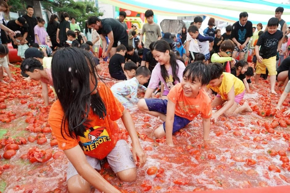 퇴촌토마토거리축제 여행 정보 - 메고지고
