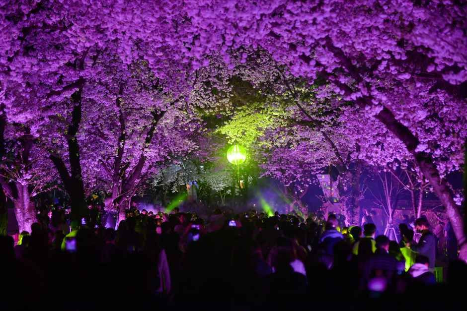 경주 대릉원돌담길 축제 여행 정보 - 메고지고