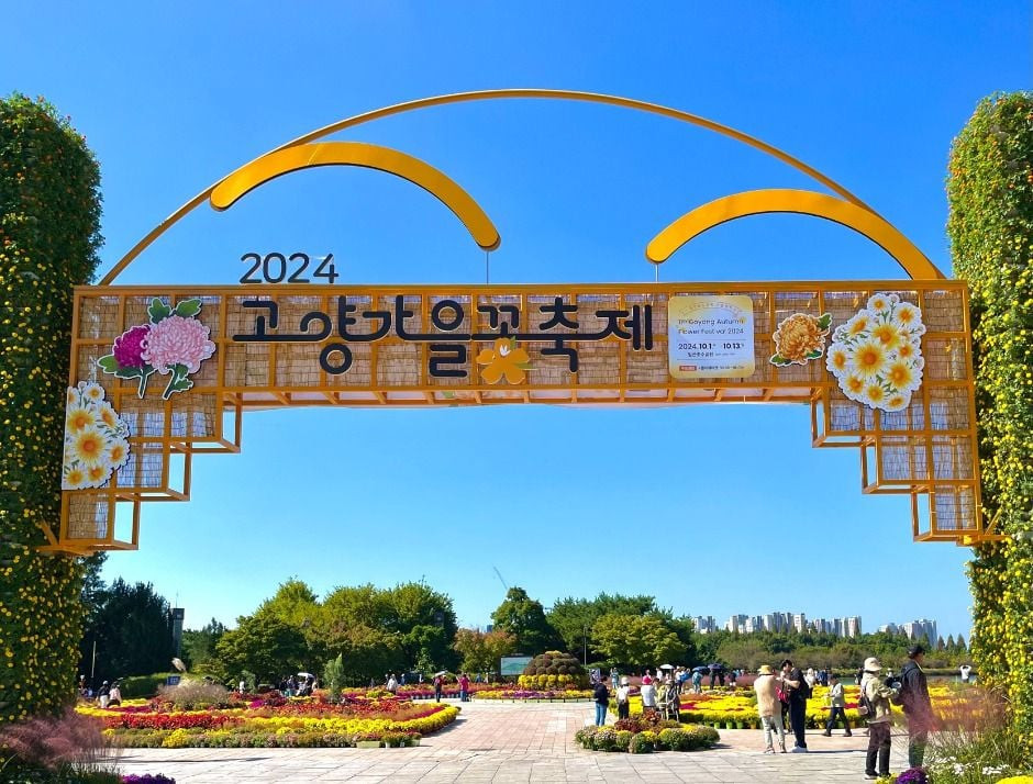고양가을꽃축제 여행 정보 - 메고지고