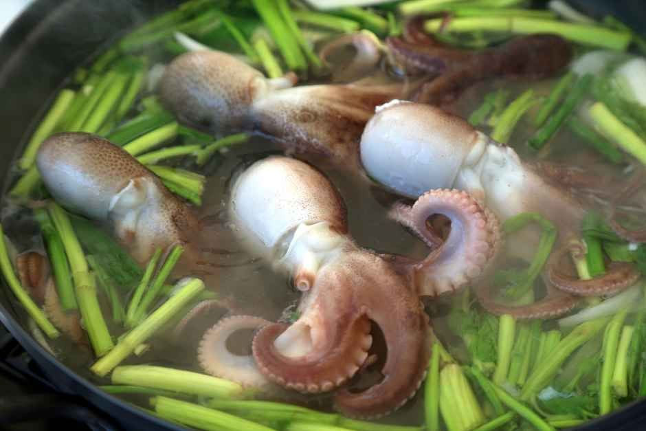 서천 동백꽃 주꾸미 축제 여행 정보 - 메고지고