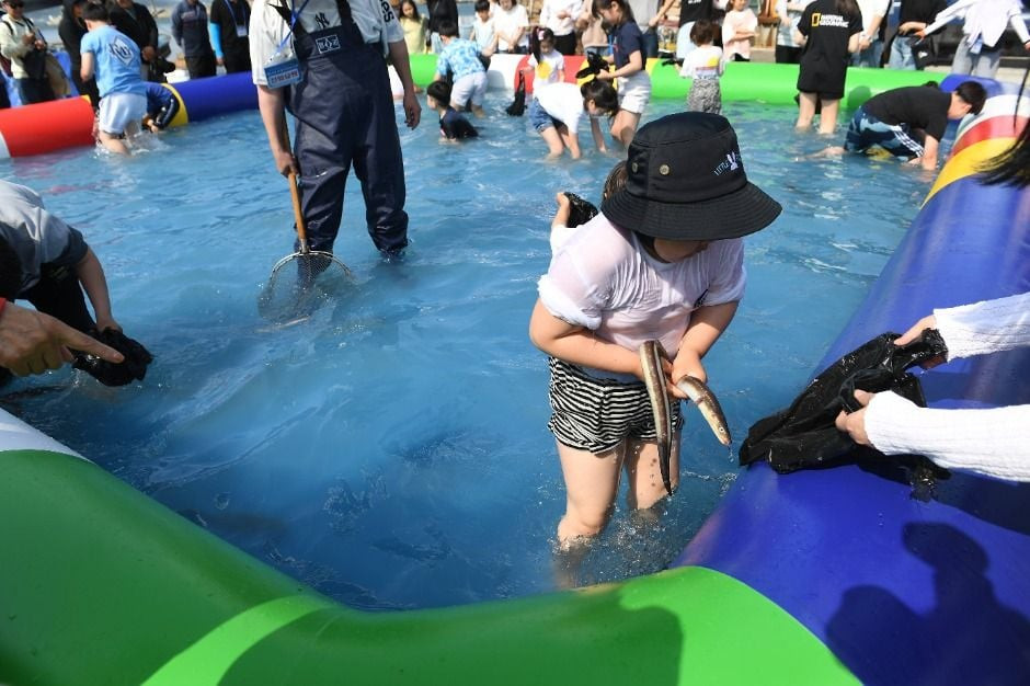 기장붕장어축제in칠암 여행 정보 - 메고지고