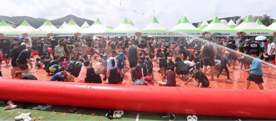 둔내고랭지토마토축제 여행 정보 - 메고지고
