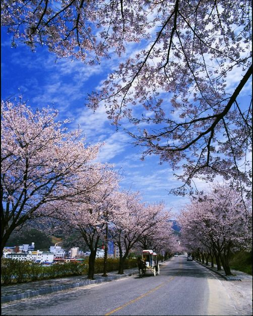 수안보온천제 여행 정보 - 메고지고