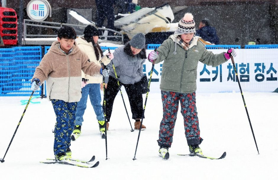 대관령눈꽃축제 여행 정보 - 메고지고