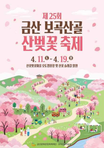 금산 보곡산골 산벚꽃 축제 여행 정보 - 메고지고