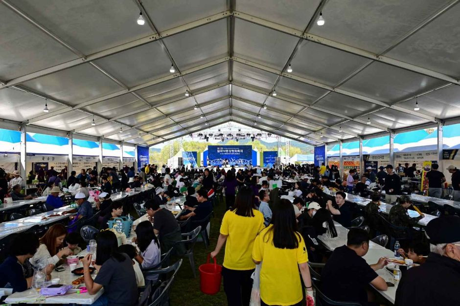 칠곡낙동강평화축제 여행 정보 - 메고지고